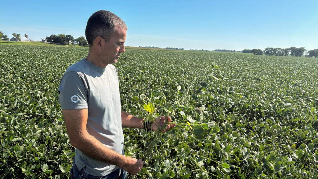 Soya, la nueva protagonista de la disputa comercial entre Estados Unidos y China