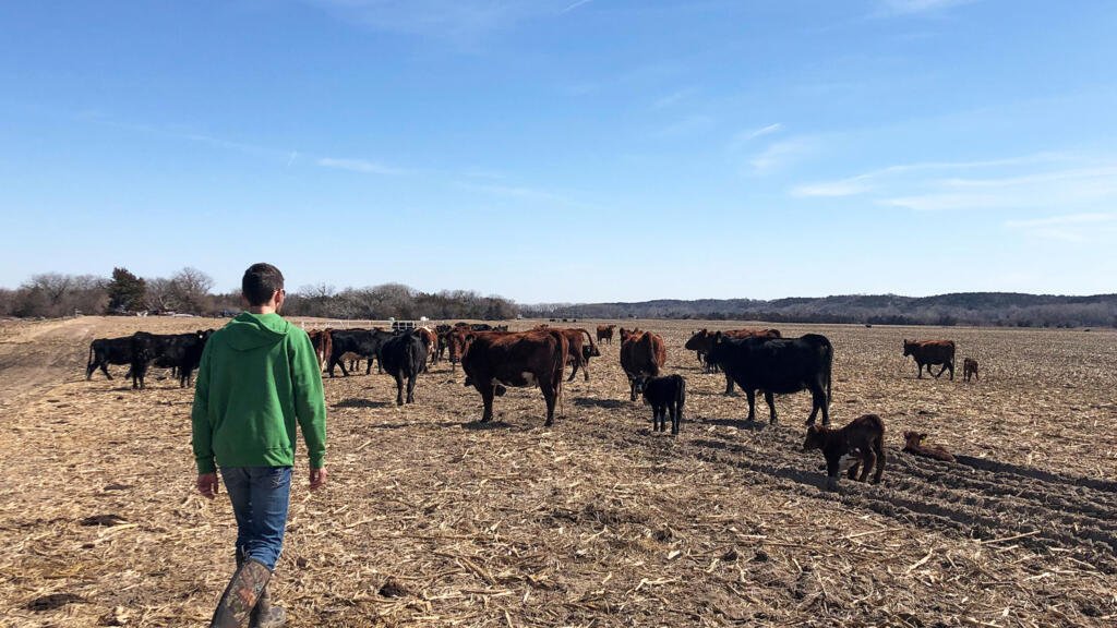 Trump quiere importar más carne de Argentina y los agricultores estadounidenses lo rechazan