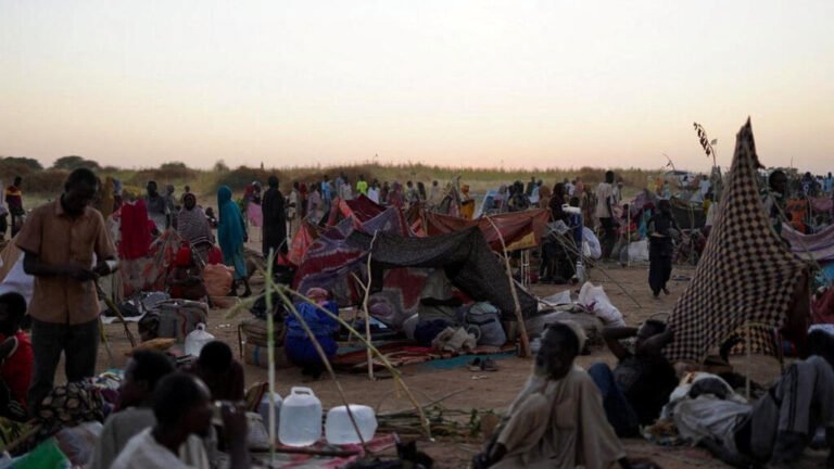 Sudán: gobierno de Darfur denuncia que paramilitares mataron a más de 2.000 civiles en Al Fasher