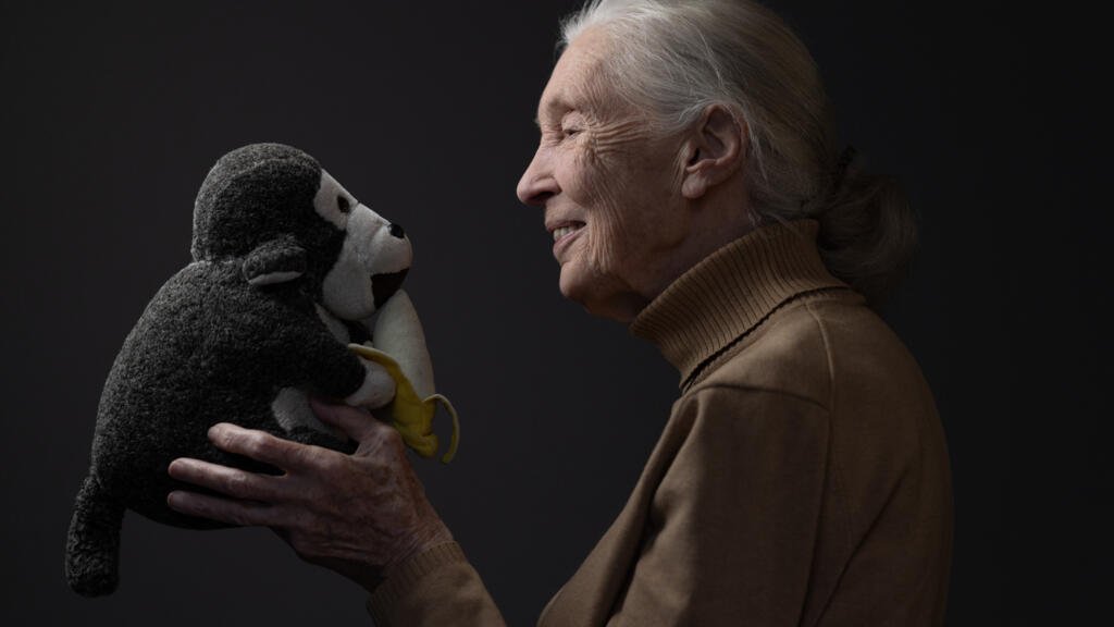 Adiós a la conservacionista Jane Goodall: "Usa tu inteligencia, no seas violento y no te rindas"