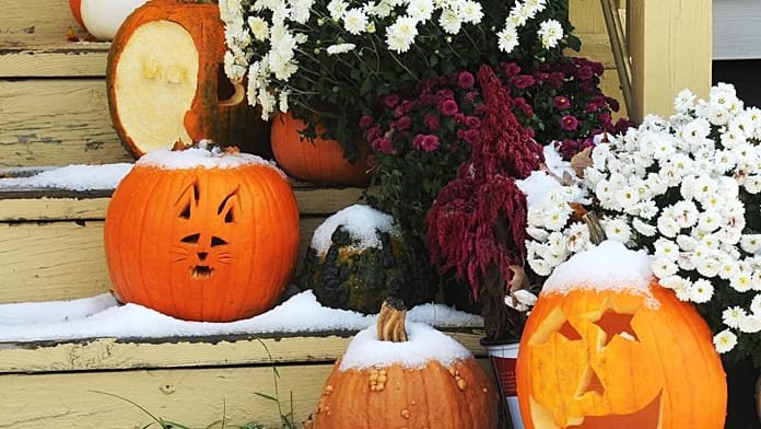 Casa embrujada en Detroit cuenta a los visitantes que huyen de miedo