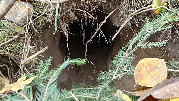 Polonia no es un caso aislado: los túneles secretos que usan los inmigrantes