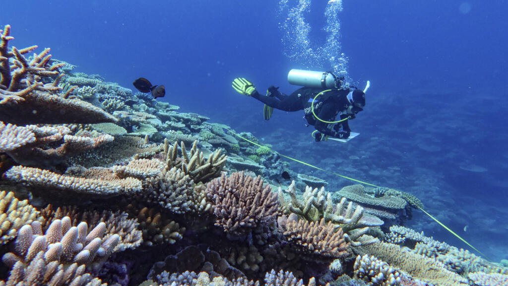 La salud de la Tierra empeora con siete de nueve límites superados