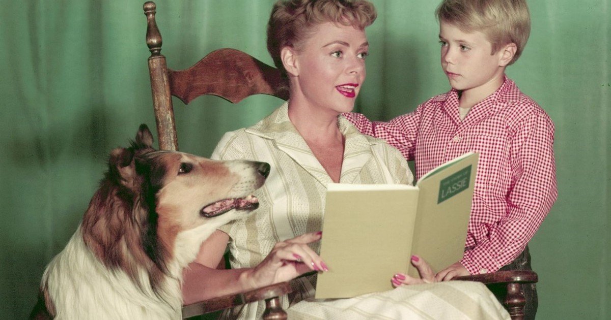 Murió a los 100 años una de las actrices más longevas de Hollywood: June Lockhart, famosa por series como Lassie y Perdidos en el Espacio