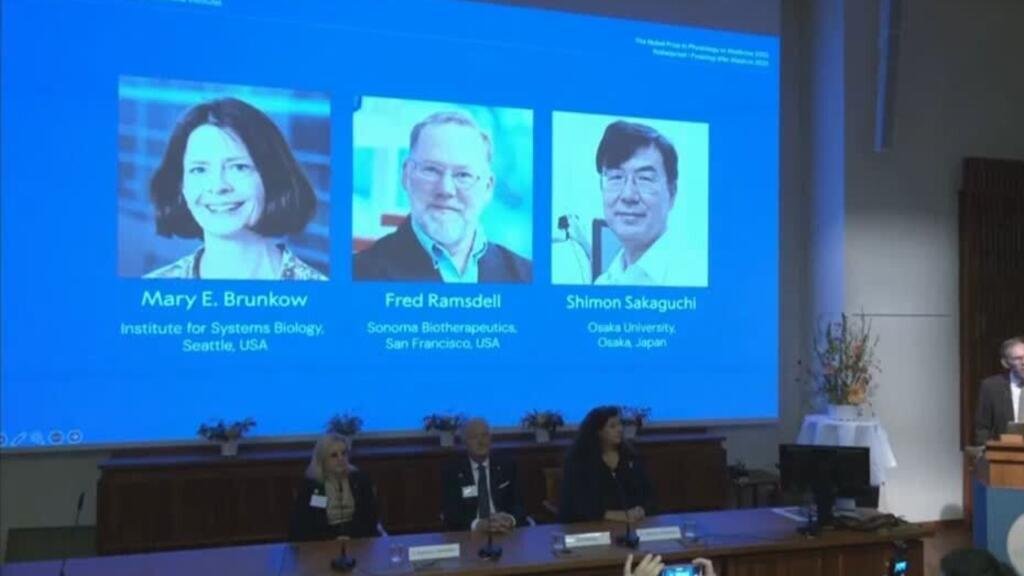 Investigadores del sistema inmune se llevan el Premio Nobel de Medicina