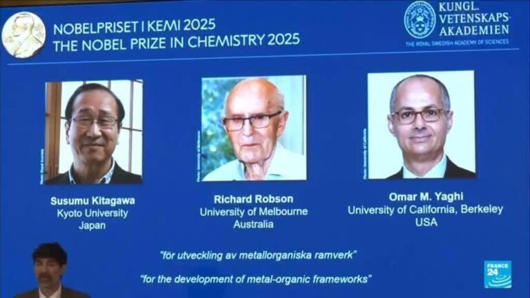 Nobel de Química 2025 para inventores de estructura "metal-orgánica"