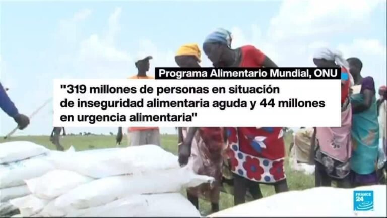 Niveles de hambre alcanzan cifras récord en el mundo