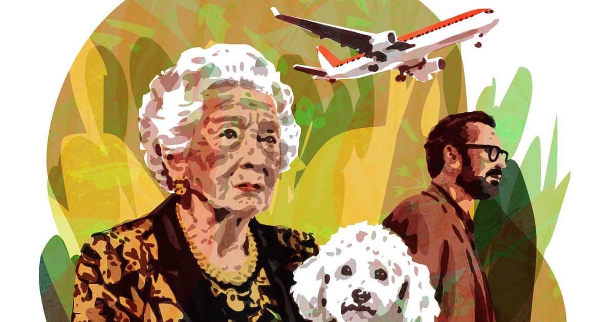 La nueva historia de Marcelo Birmajer: El accidente