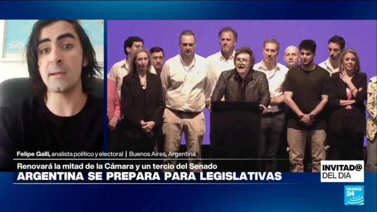 Elecciones legislativas en Argentina: ¿qué está en juego para Milei?