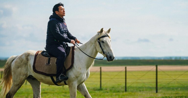 Jackie Chan, en El descubridor de leyendas, no se rinde: a los 71, sigue haciendo travesuras, pero ya no deslumbra tanto