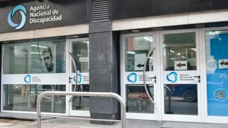 El Gobierno aprobó tres aumentos y suben las prestaciones para discapacidad