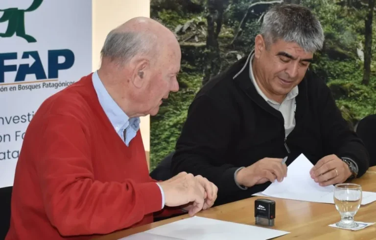 CIEFAP y FAO fortalecen el trabajo conjunto para la preservación del bosque nativo en Chubut