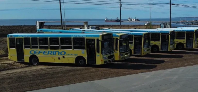 BECH en Puerto Madryn: sin trámites mensuales y con gestión única