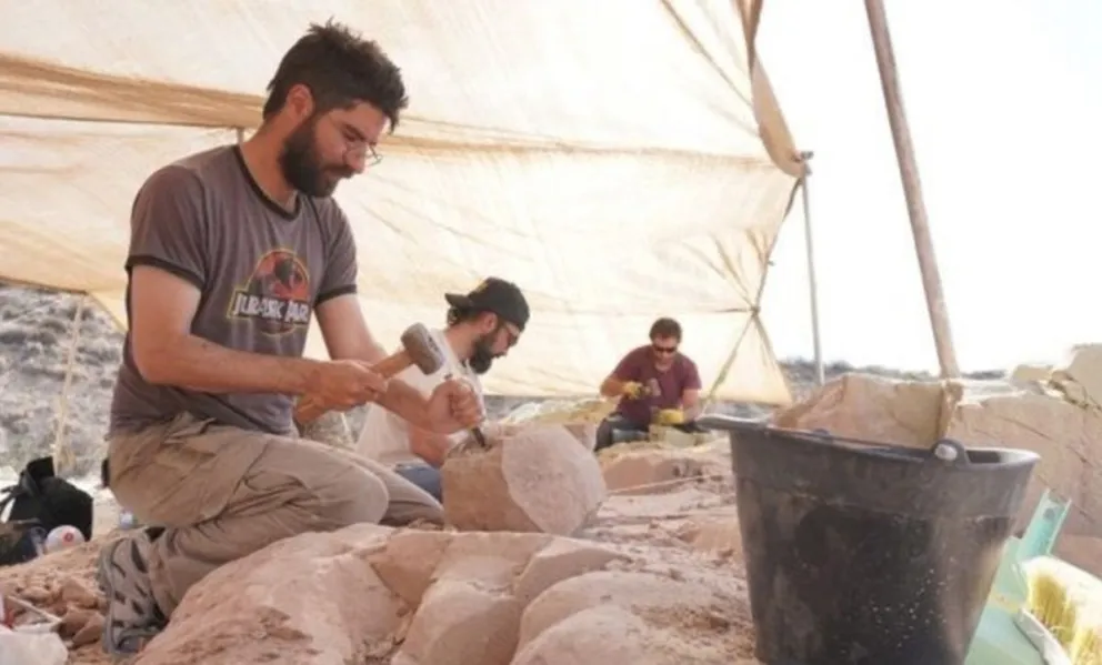 Ciencia en vivo: la búsqueda de dinosaurios que se transmite desde la Patagonia