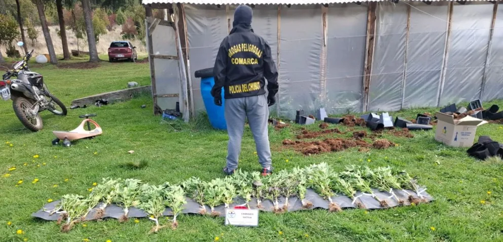"Sueño Ácido": Desmantelan red de drogas sintéticas entre El Bolsón y Comodoro Rivadavia
