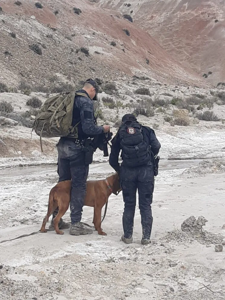 Los rastrillajes de este lunes tuvieron a los perros de rastros como protagonistas