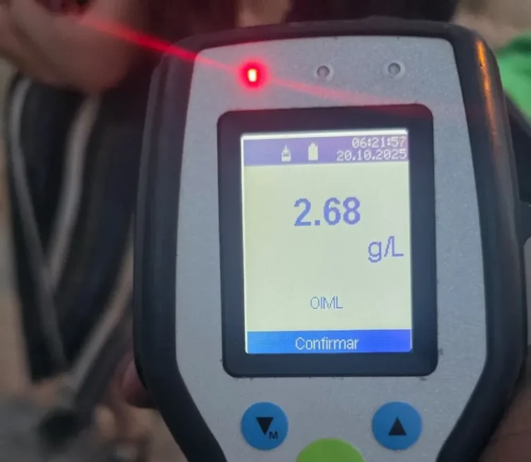 Una conductora volcó en el barrio Moure con 2.68 gramos de alcohol en sangre