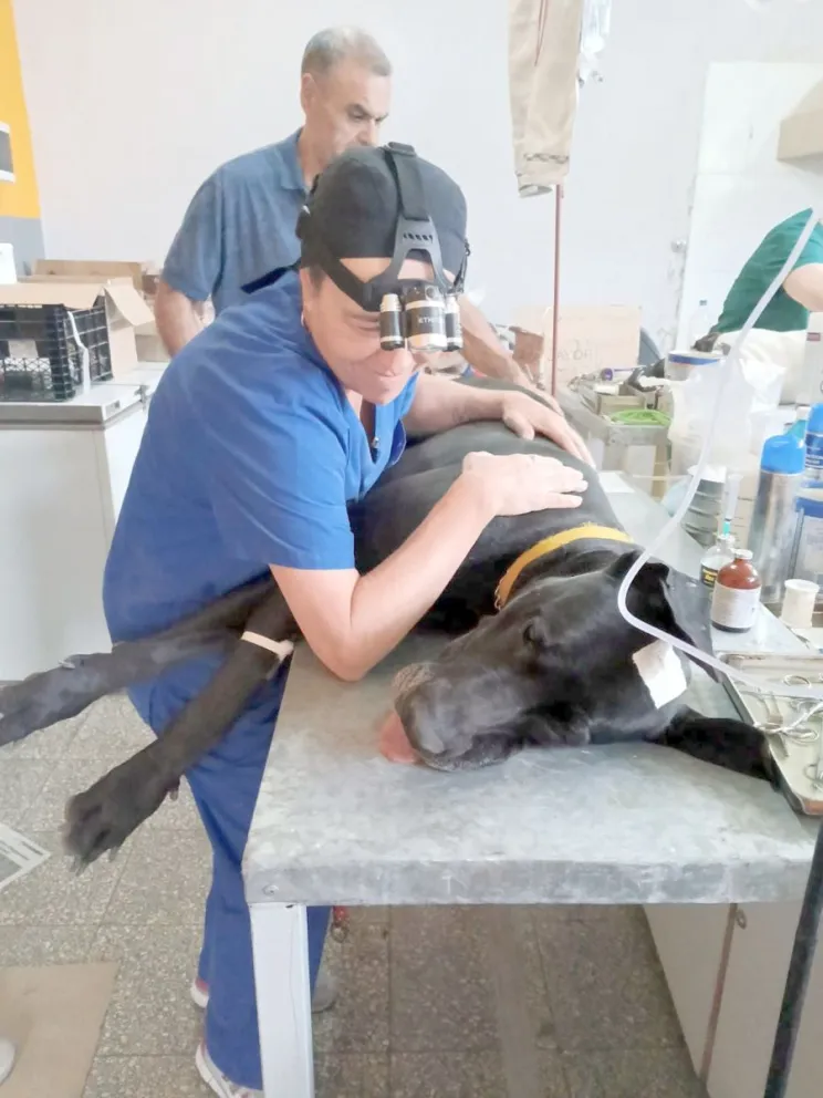 Nueva jornada de castración masiva en Gaiman