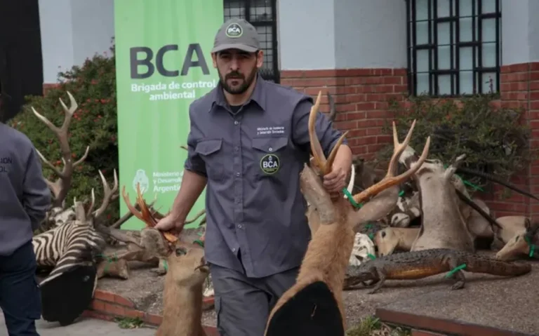 Reconocimiento mundial a un argentino por la lucha contra el tráfico de fauna