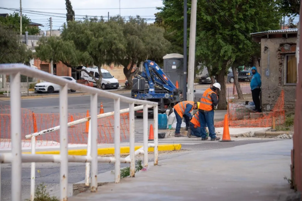 Construcción de cruces seguros y accesibles para mejorar el tránsito vehicular en la Avenida Estados Unidos