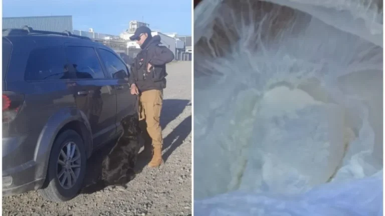 Intentó escapar del control con cocaína en el auto