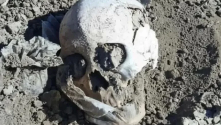 Hallazgo macabro en Las Heras: encuentran un cráneo humano en un sector rural