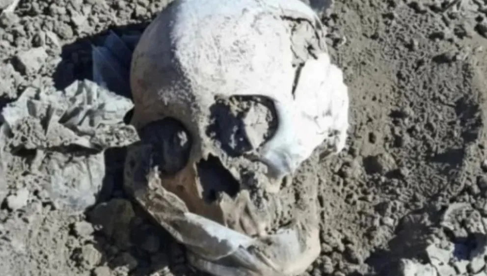 Hallazgo macabro en Las Heras: encuentran un cráneo humano en un sector rural