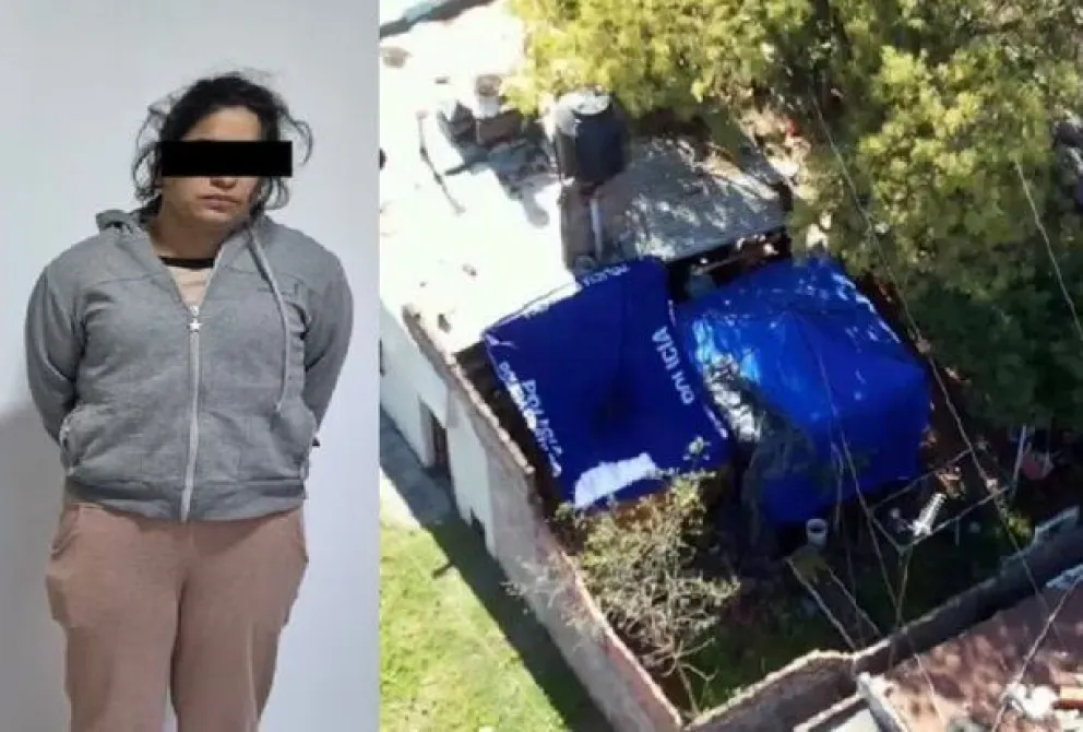 Los chats de una detenida por el triple femicidio: "Me mandé una cagada"