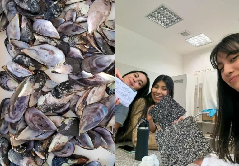 Estudiantes de UTN Chubut crean baldosones sustentables con residuos pesqueros