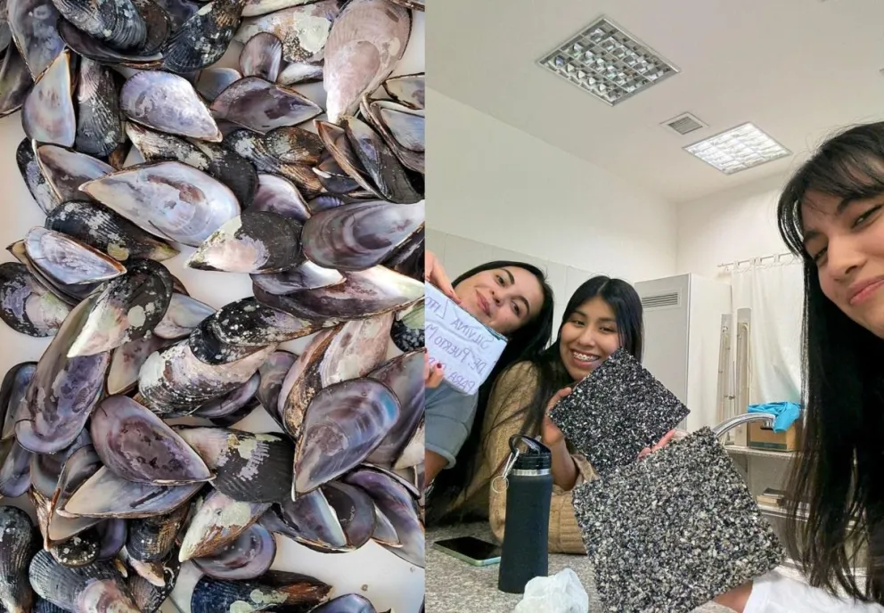 Estudiantes de UTN Chubut crean baldosones sustentables con residuos pesqueros