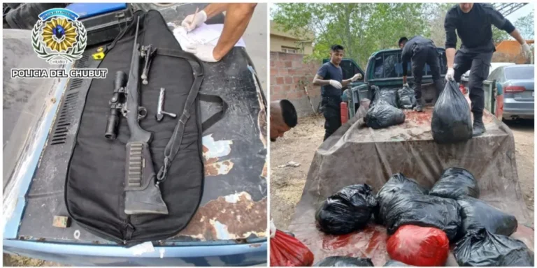 Secuestran 700 kilos de carne de guanaco y un arma durante un operativo