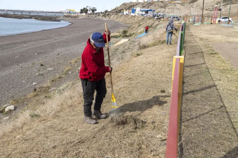 Continúan las tareas de limpieza municipal en espacios públicos de la ciudad 