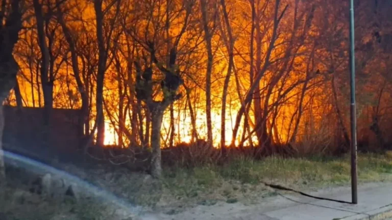 Incendio en parque El Desafío de Gaiman: seis horas de fuego