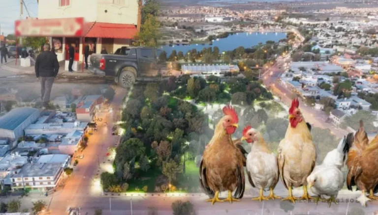 “Pollos de Papel”: exfuncionarios de  Maderna comparecerán ante la Justicia