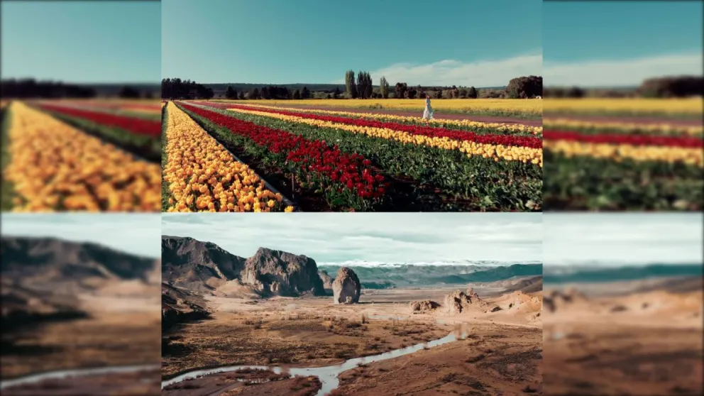 Chubut invita a disfrutar el fin de semana largo con múltiples propuestas y destinos