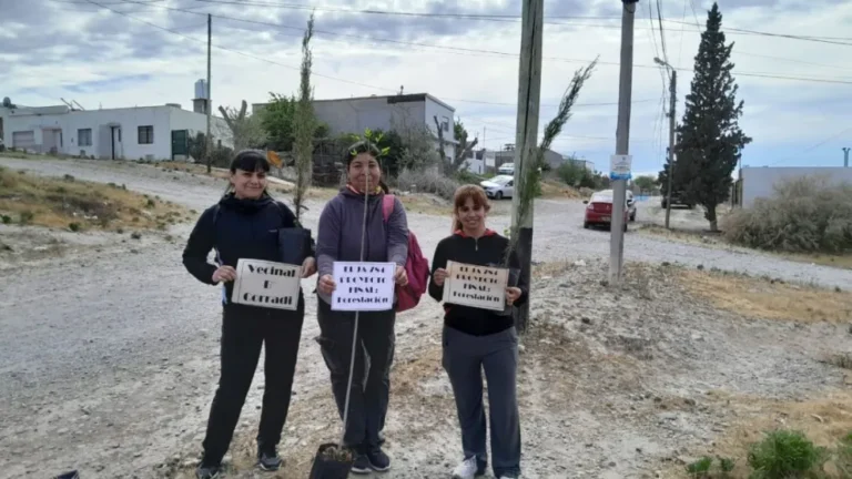 Jóvenes de barrio Corradi plantaron arbolitos por "un futuro verde"