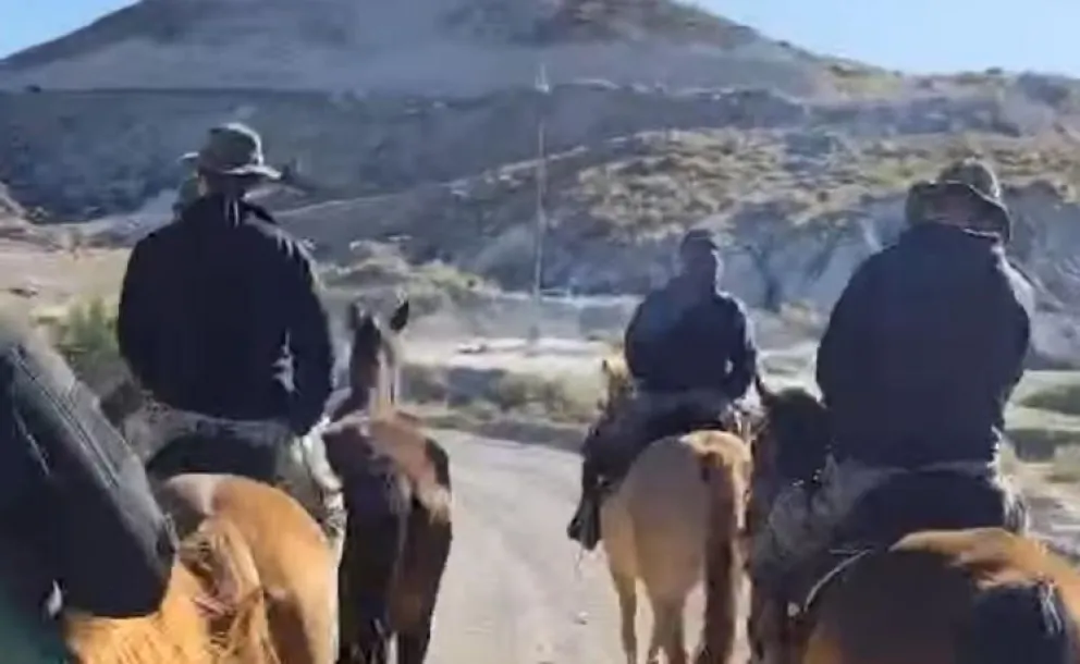 Realizaran un rastrillaje con caballos desde Caleta Córdova a Rocas Coloradas