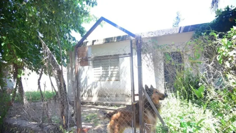 Escalofriante hallazgo en Córdoba: encontraron mujer muerta y mutilada dentro de su vivienda