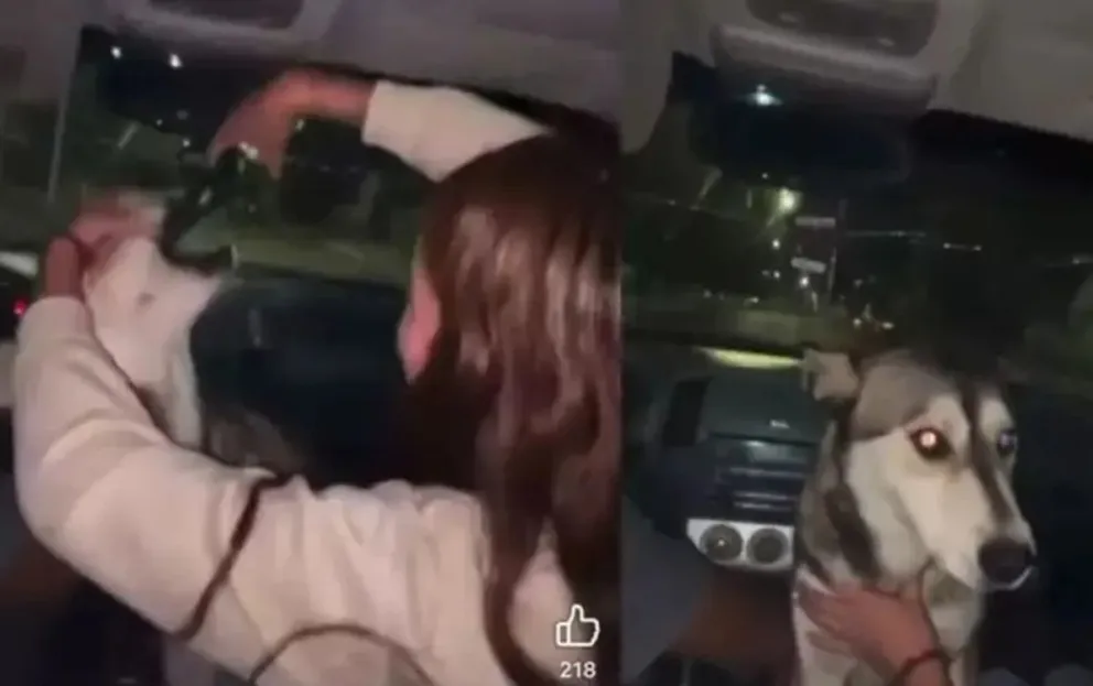 Repudio en México: jóvenes grabaron a una perrita obligada a beber cerveza