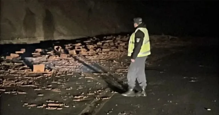 Un camión perdió su carga en plena ruta y generó un operativo de emergencia
