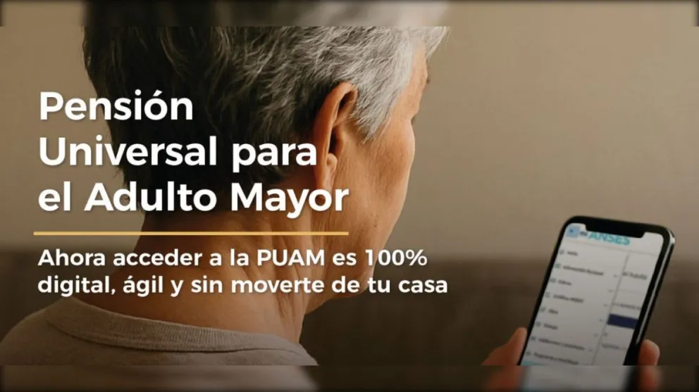 PUAM: Milei habilitó gestionar por internet la pensión de ANSES para mayores sin aportes