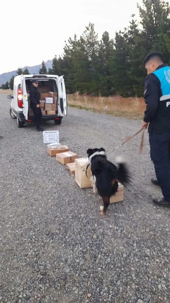 Descubrieron a dos pasajeros con droga en un colectivo
