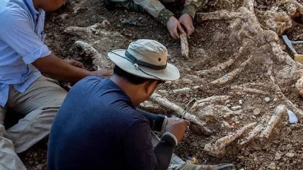 Comenzará un programa de stream que localizará nuevos dinosaurios