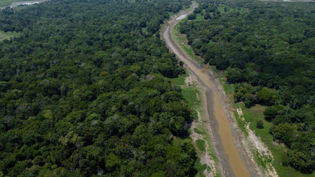 El crimen organizado, gran amenaza para la Amazonía