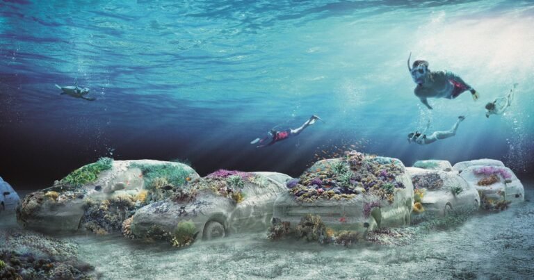 Embotellamiento bajo el mar: así es la nueva obra de Erlich que se transformará con miles de corales