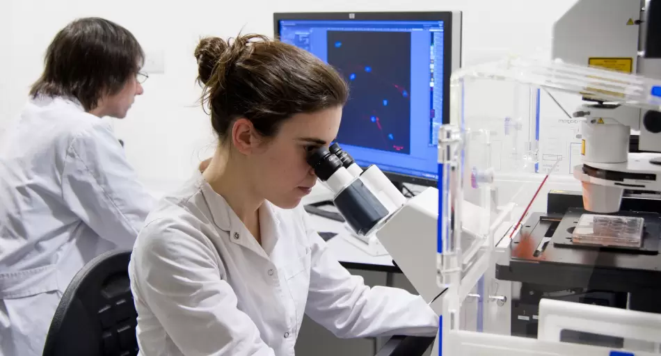 Argentina vuelve a tener un plan de innovación: por qué es una buena noticia