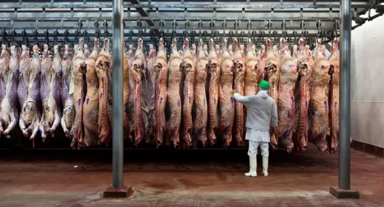 La carne sube 15% y advierten por los chinos: "Nos vamos a quedar sin vacas"