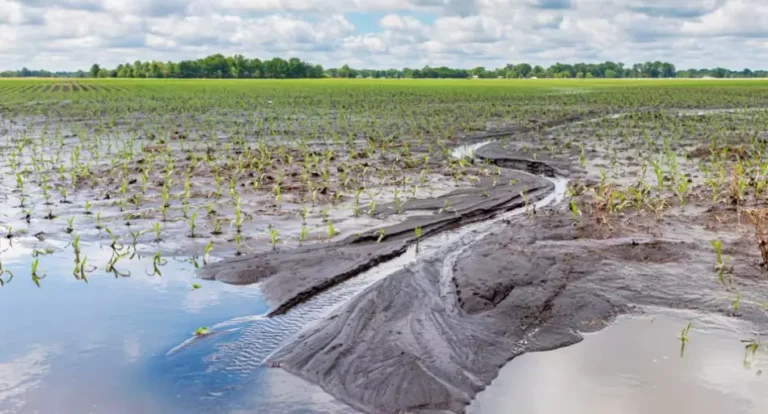 Kicillof lanza alivio fiscal tras el desastre rural en 19 distritos