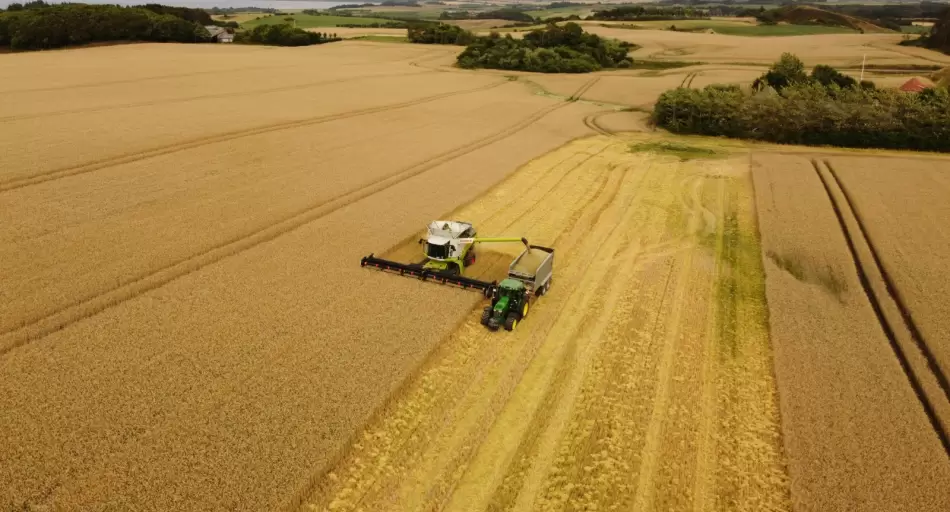 Nuevo plazo para el Inmobiliario Rural: ARBA extiende el vencimiento y mantiene descuentos