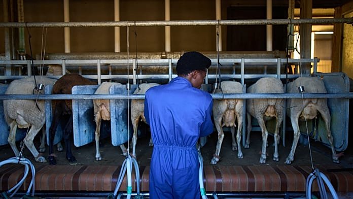 La inmigración impulsa el crecimiento demográfico en España hasta su máximo histórico